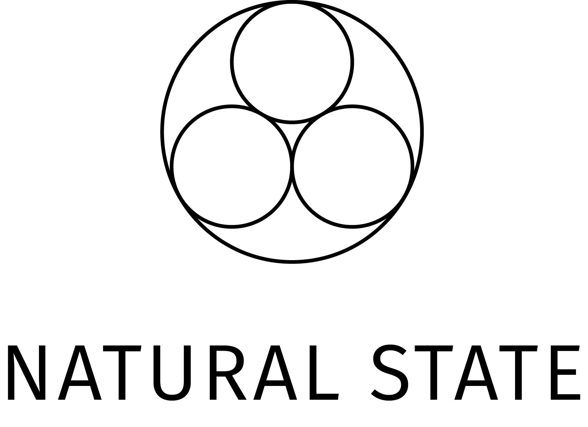 partner image
